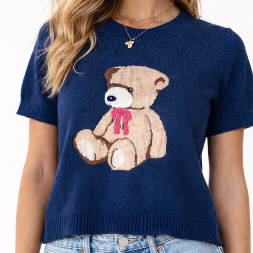 NWT! Willow + Wind | M | Teddy Bear Knit Sweater Top